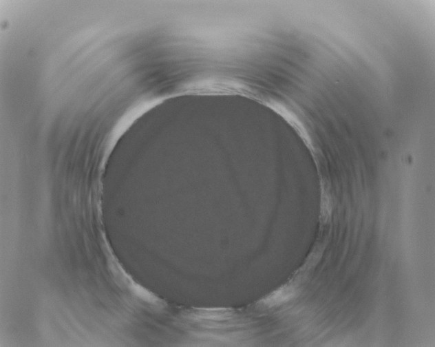 X0000088591486200706221328