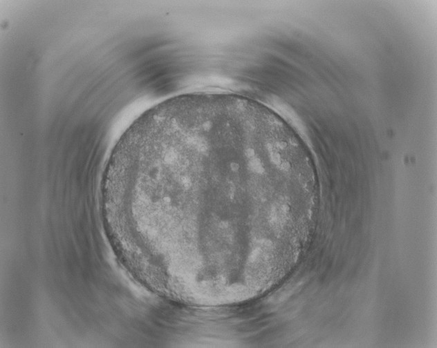 X0000088591488200706221328