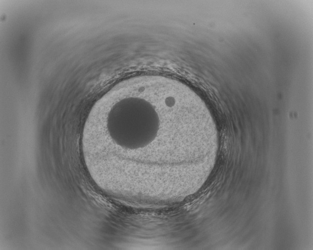 X0000088591489200706221328