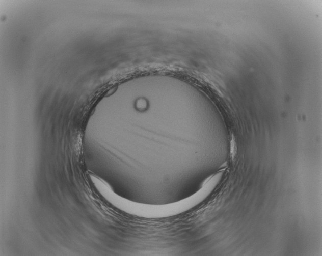 X0000088591492200706221328