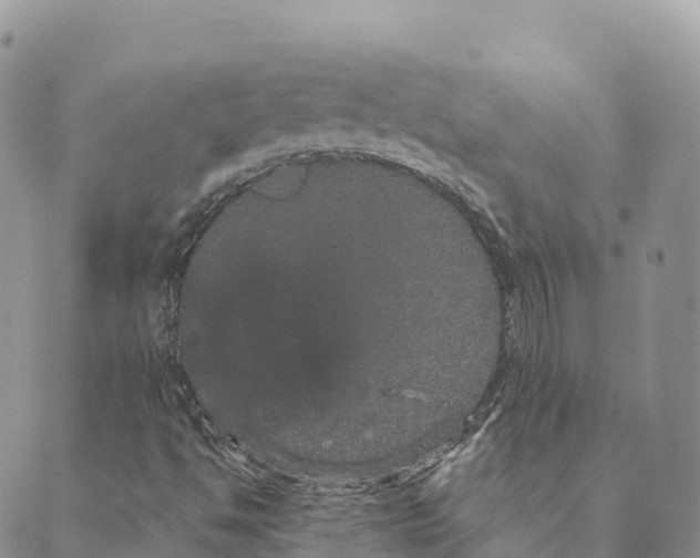 X0000088591494200706221328