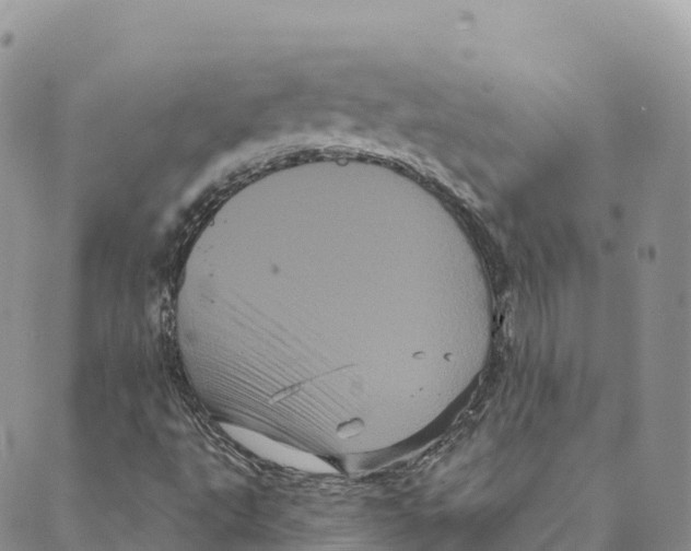 X0000088591495200706221328