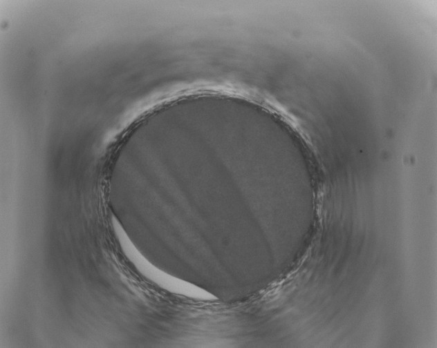 X0000088591496200706221328