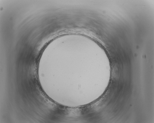 X0000088591498200706221328