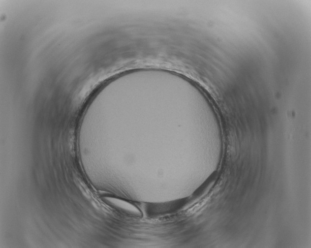 X0000088591499200706221328