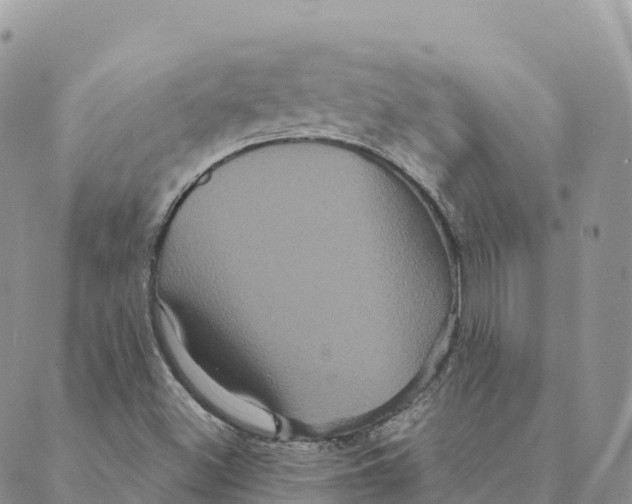 X0000088591500200706221328