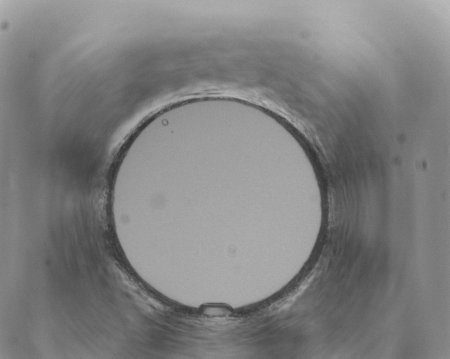 X0000088591502200706221328