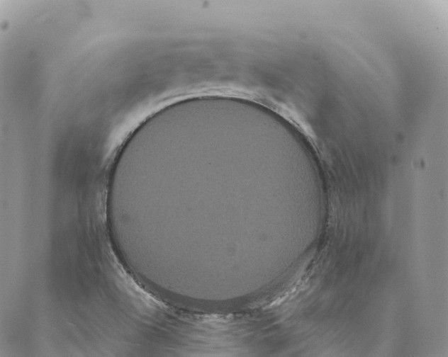 X0000088591504200706221328