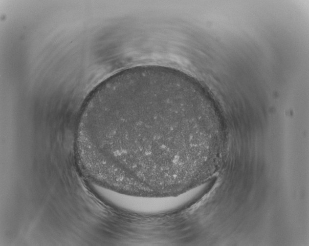 X0000088591505200706221328