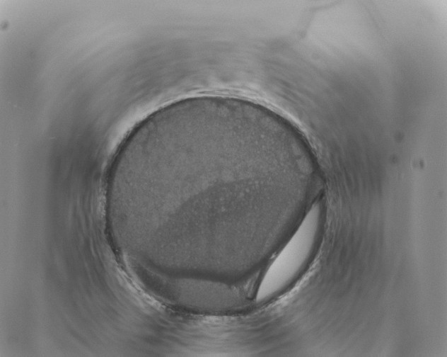 X0000088591506200706221328