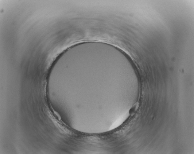 X0000088591507200706221328