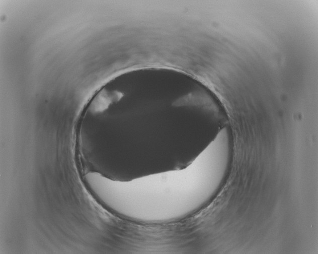 X0000088591508200706221328