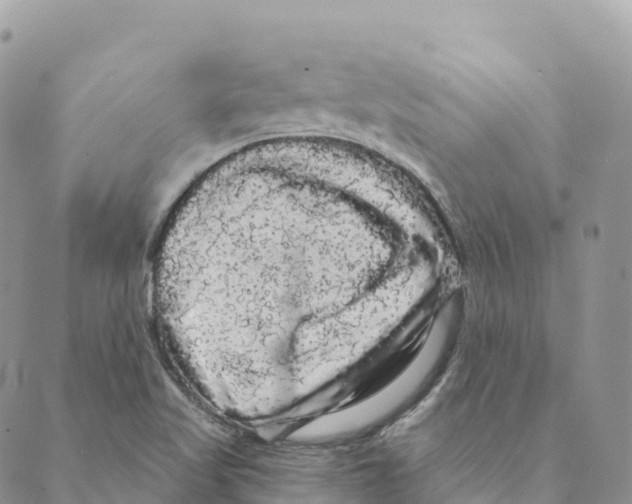 X0000088591509200706221328