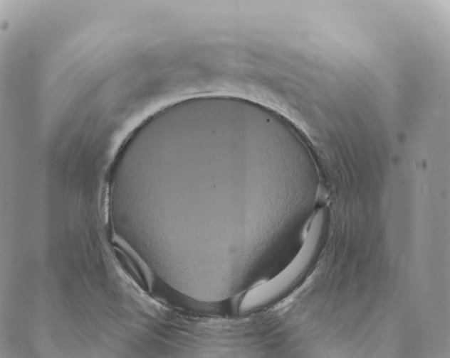 X0000088591510200706221328