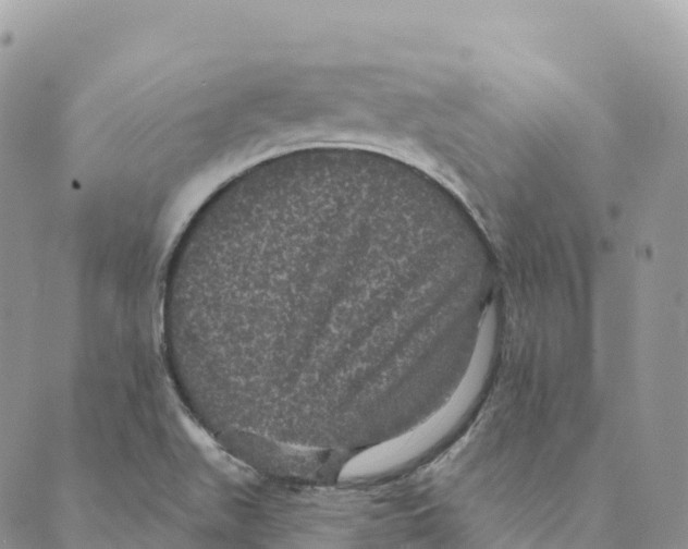 X0000088591511200706221328