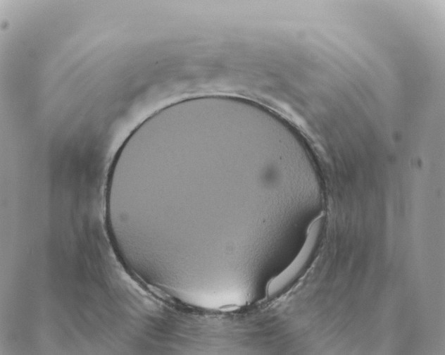 X0000088591512200706221328