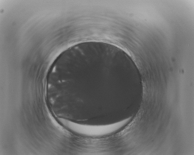 X0000088591515200706221328