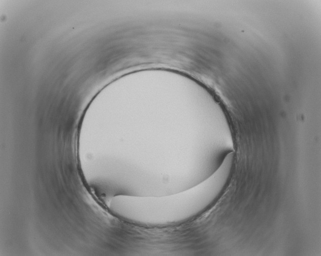 X0000088591516200706221328