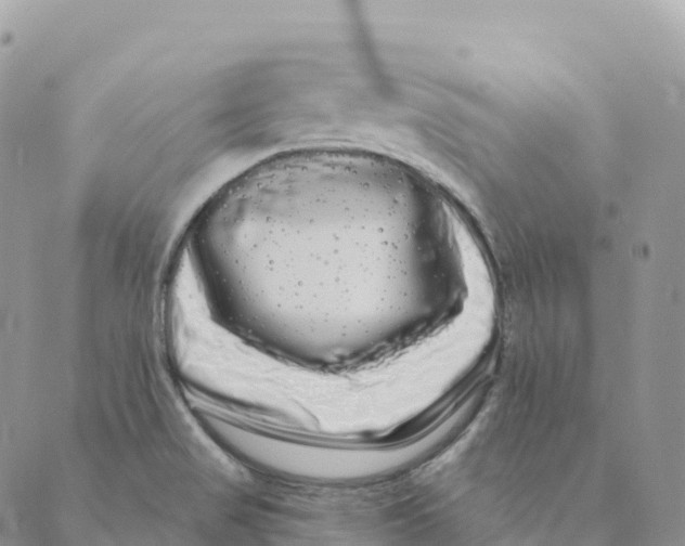 X0000088591517200706221328