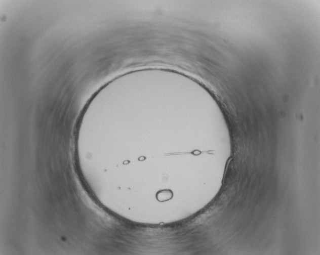 X0000088591518200706221328