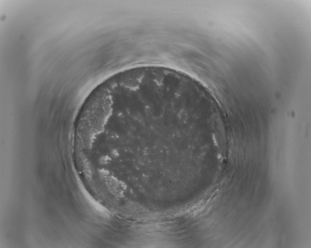 X0000088591519200706221328