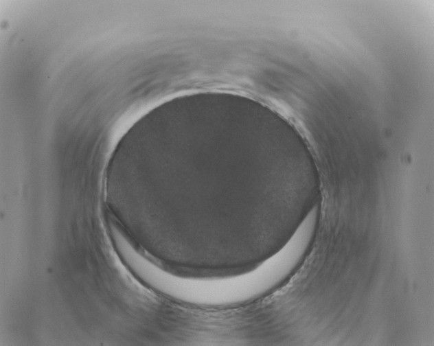 X0000088591520200706221328