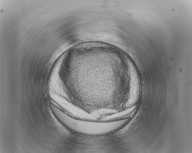 X0000088591521200706221328