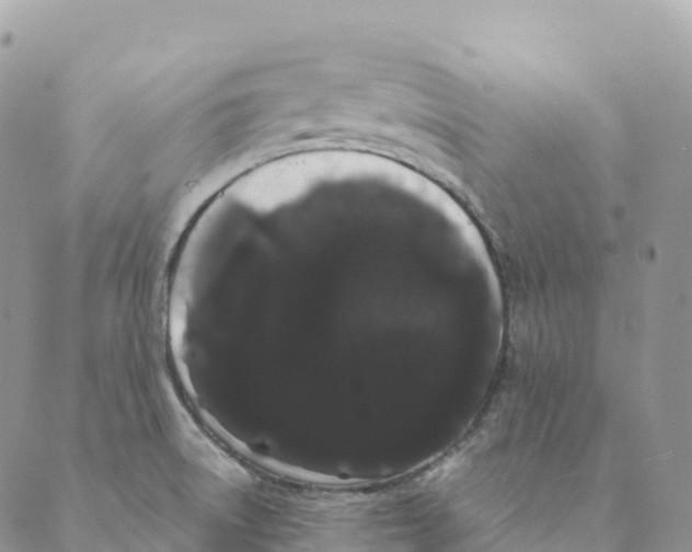 X0000088591522200706221328