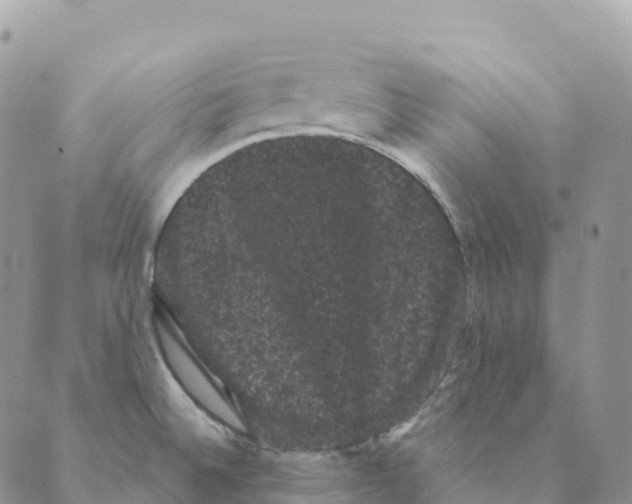 X0000088591524200706221328