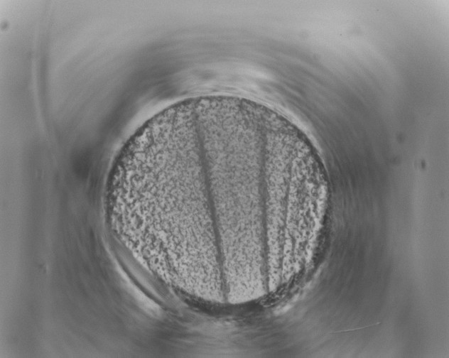 X0000088591525200706221328