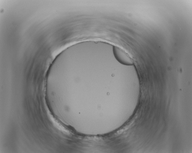 X0000088591526200706221328