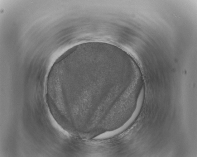 X0000088591528200706221328