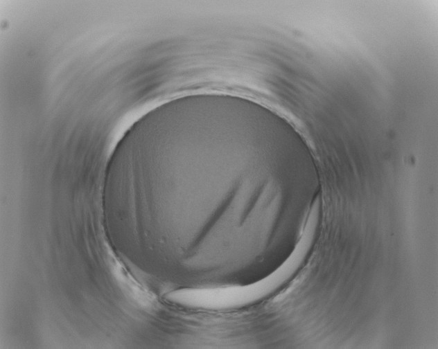 X0000088591530200706221328