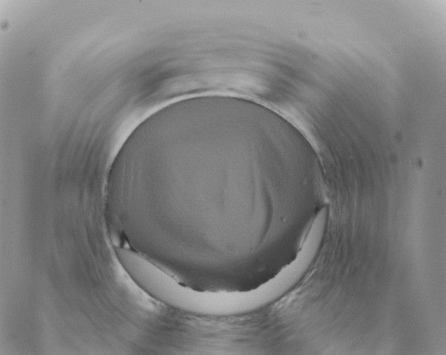 X0000088591532200706221328