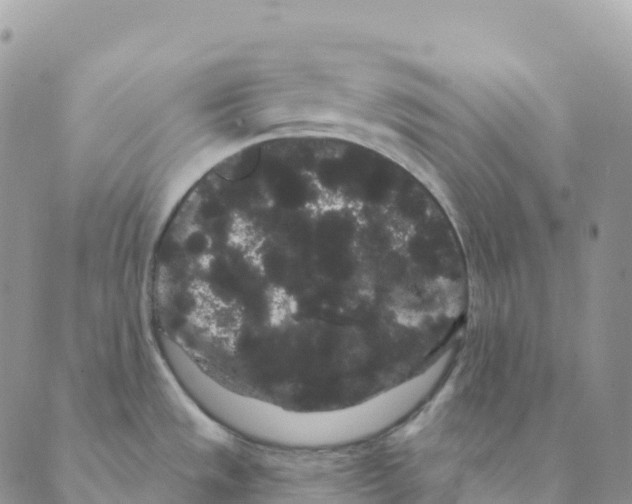 X0000088591533200706221328