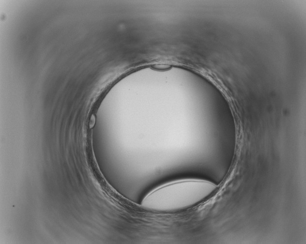 X0000088600055200705250838