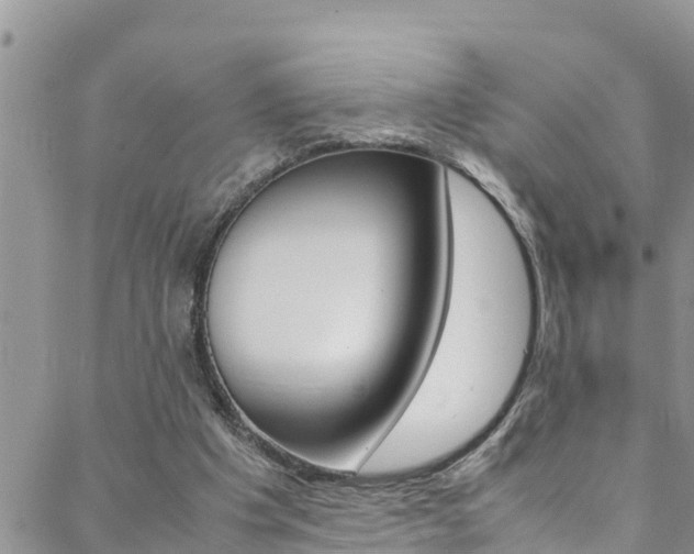 X0000088600201200705250837