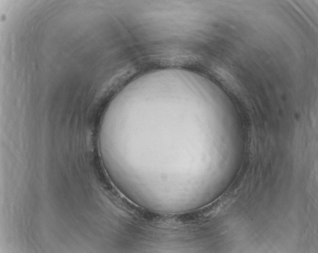 X0000088600258200705250836