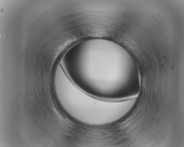 X0000088600540200705250831