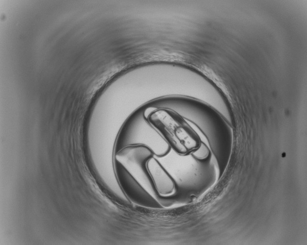 X0000088600581200705250830