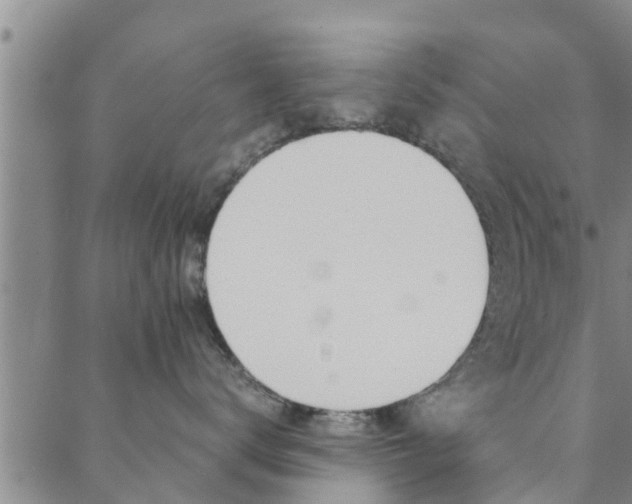 X0000088600672200705250830