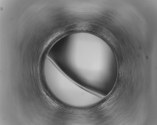 X0000088600722200705250827