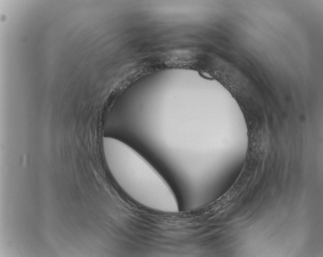 X0000088600755200705250828