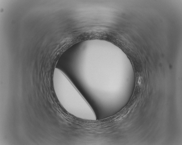 X0000088600771200705250827