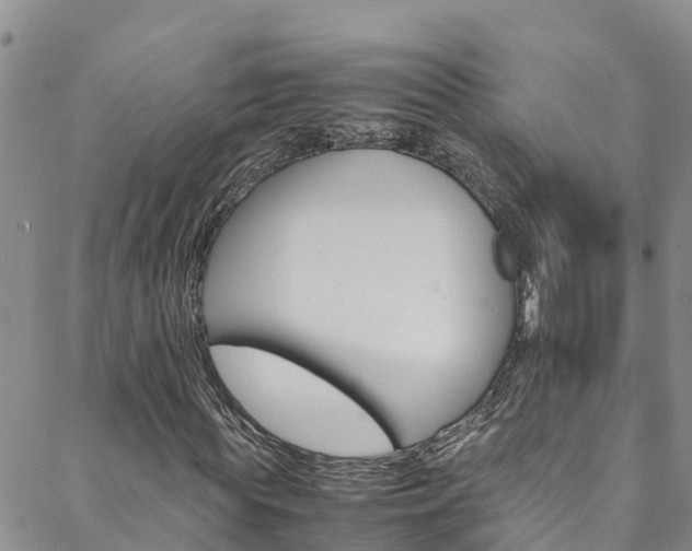 X0000088600819200705250826