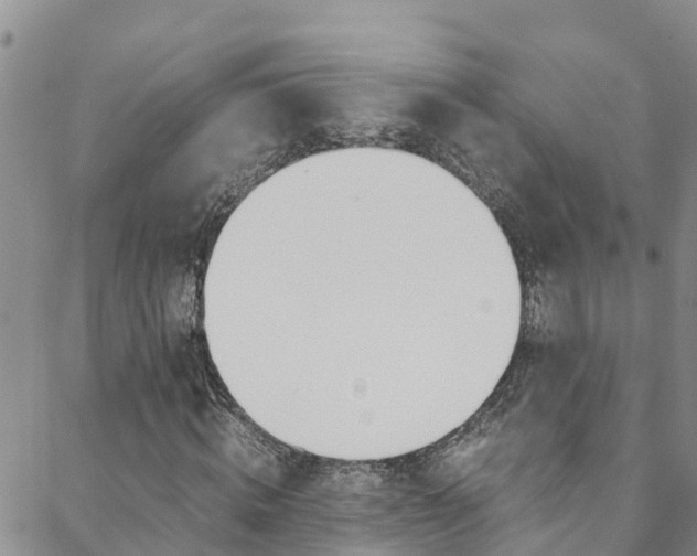 X0000088600820200705250826
