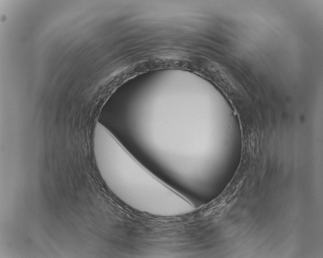 X0000088600821200705250826