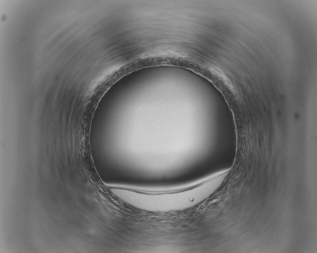 X0000088600872200705250826
