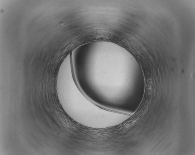 X0000088600916200705250824