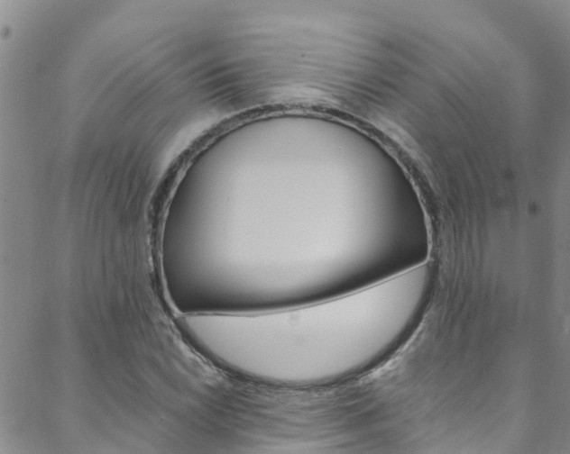 X0000088601022200705250823